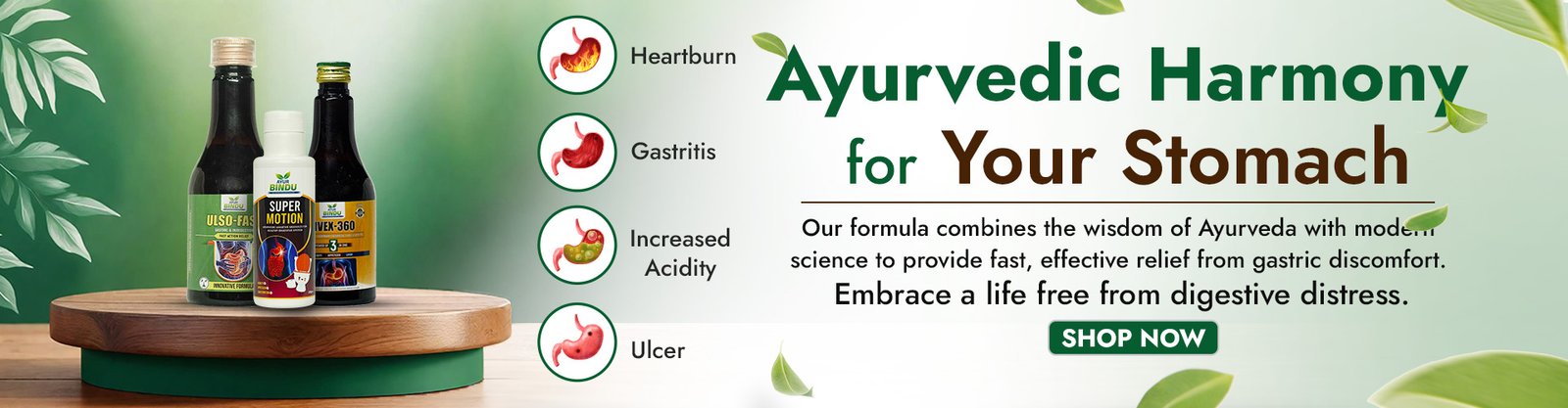 Ayur Bndu - Best Ayurvedic Medicine for Gastric