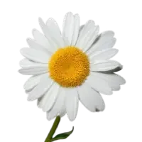 Mukta Pishti